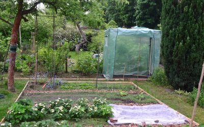 Tomatenhaus und Beeteinfassung
