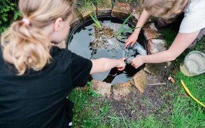 Mini-Garten-Teich