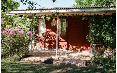 Ein Tag im Leben von Garten- und Landschaftsbauer Peter